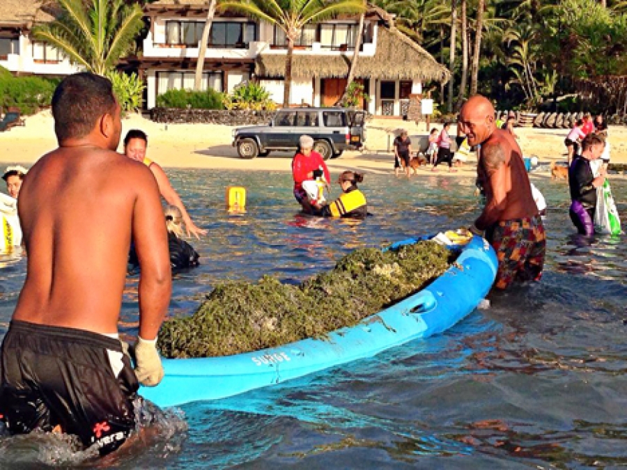 Lagoon problems need action