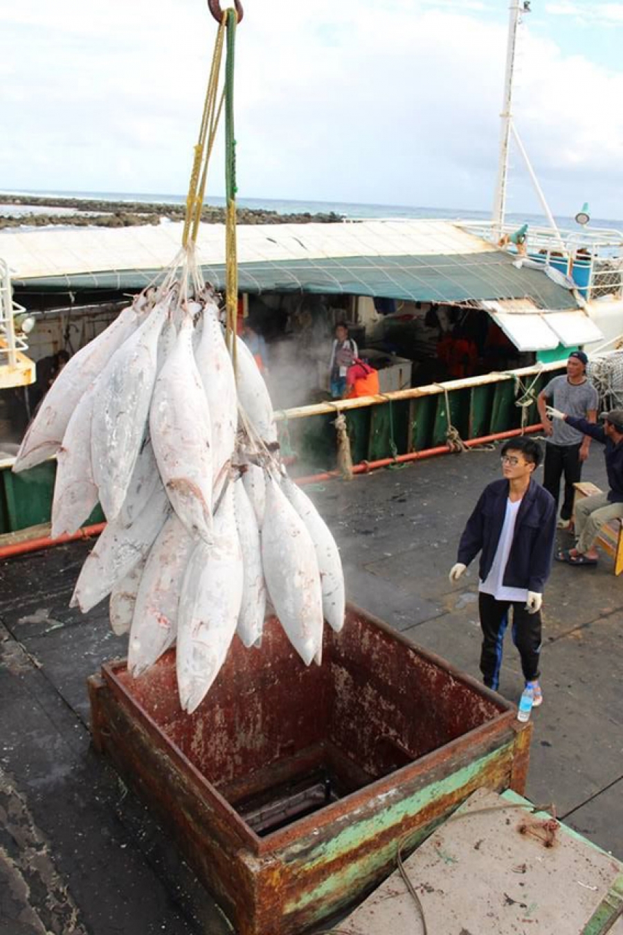 Fisheries officers inspect longliner