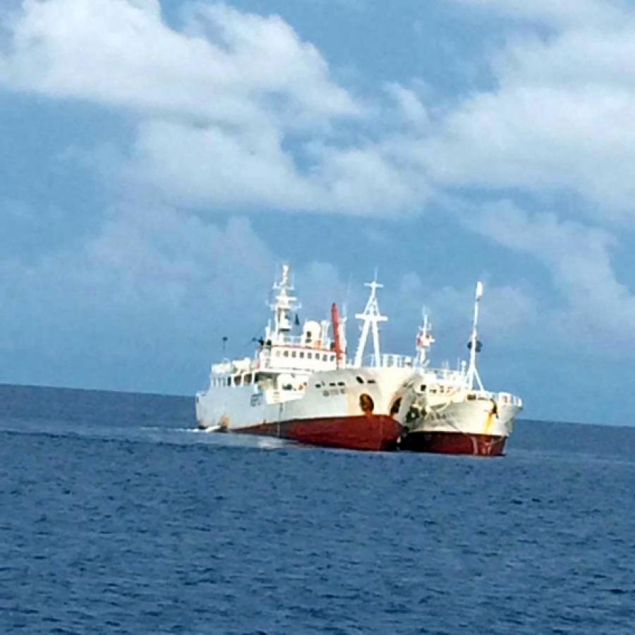 Longliners offload at Avatiu Harbour