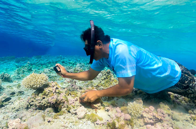 ‘Climate change is killing our reefs’: The major challenges facing the Cook Islands coral reefs