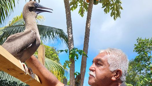 Pet bird returns home from the wild