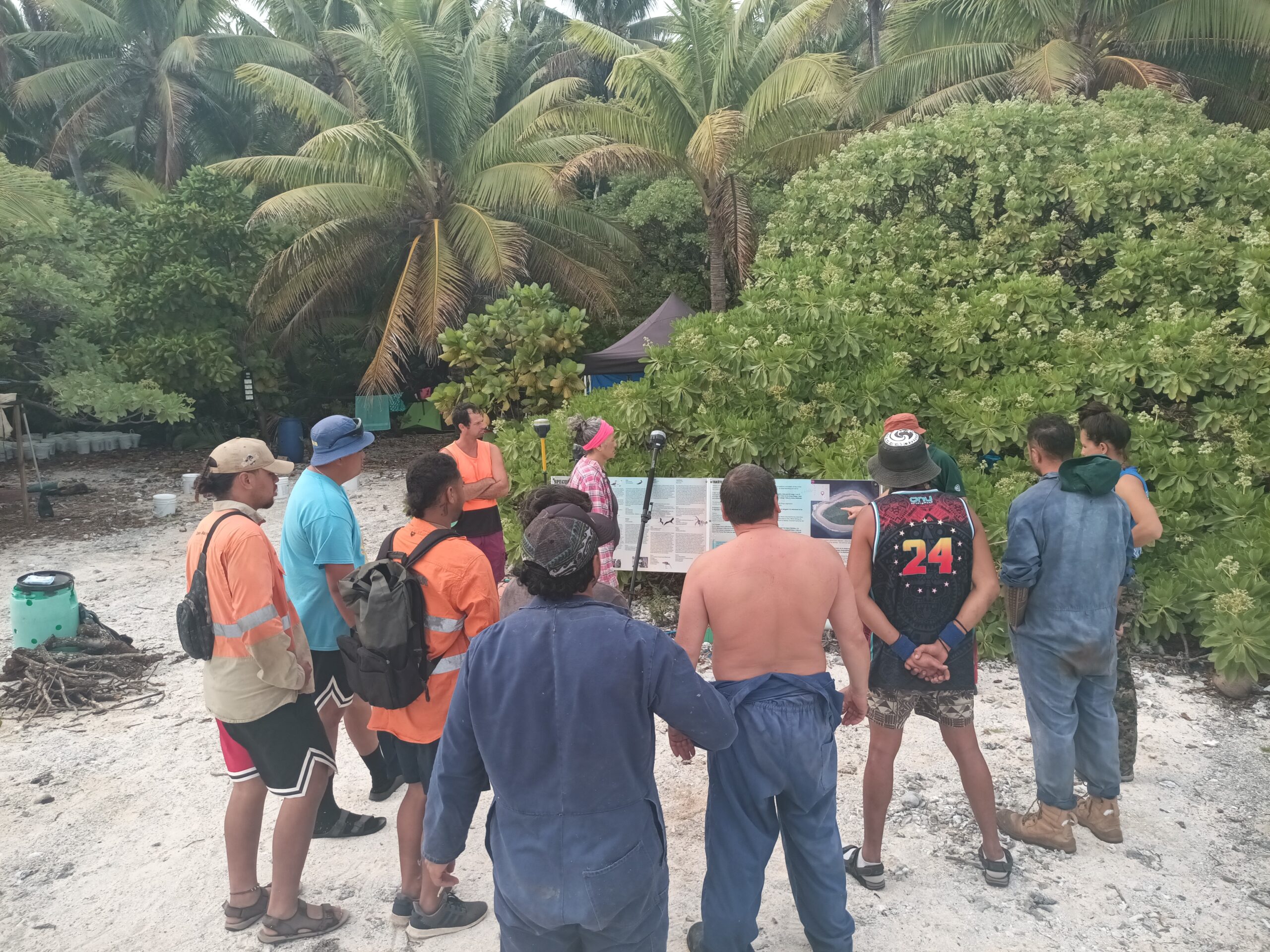 Te Ipukarea Soceity: Takutea rat eradication project starts