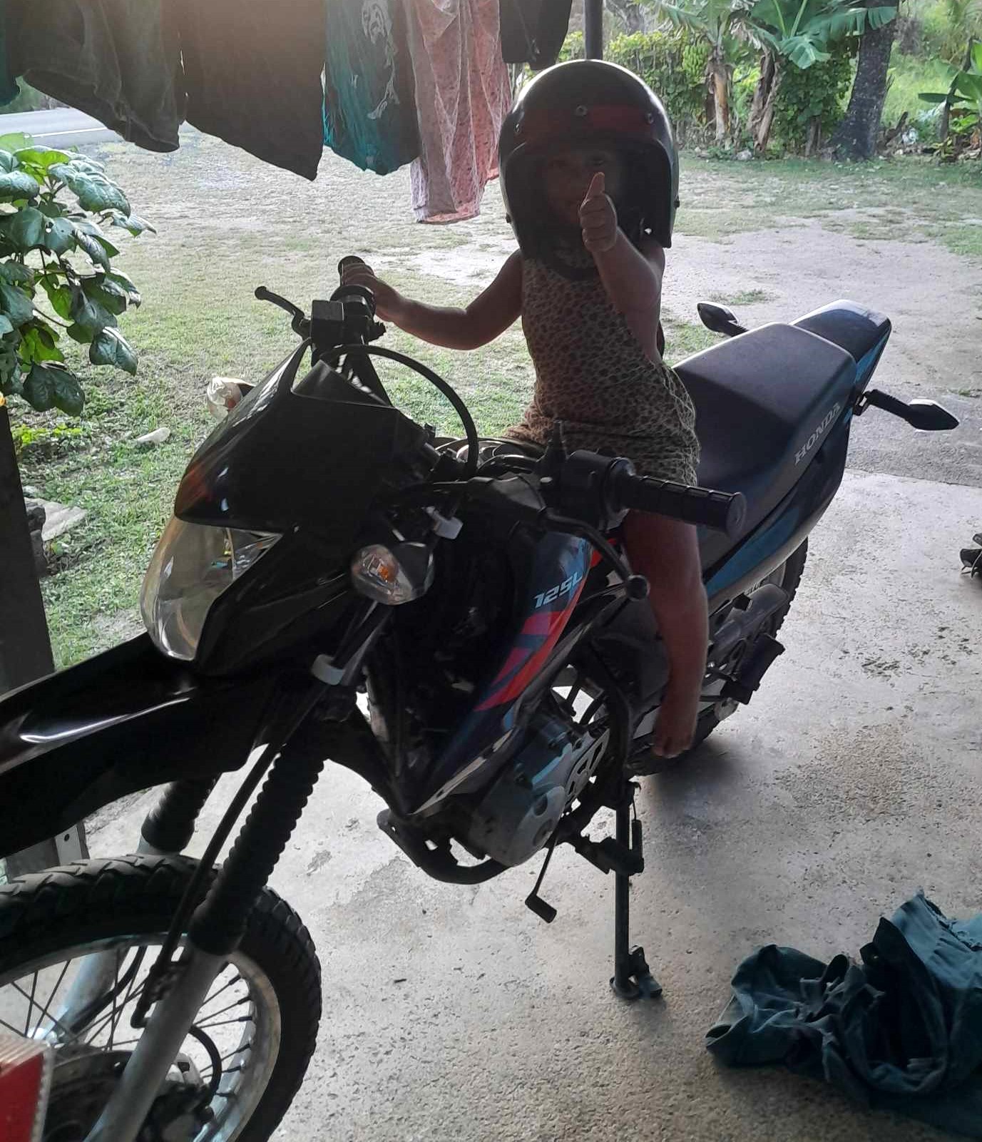 ‘Bribing my dogs’: Family seeks help to find stolen 21st birthday bike