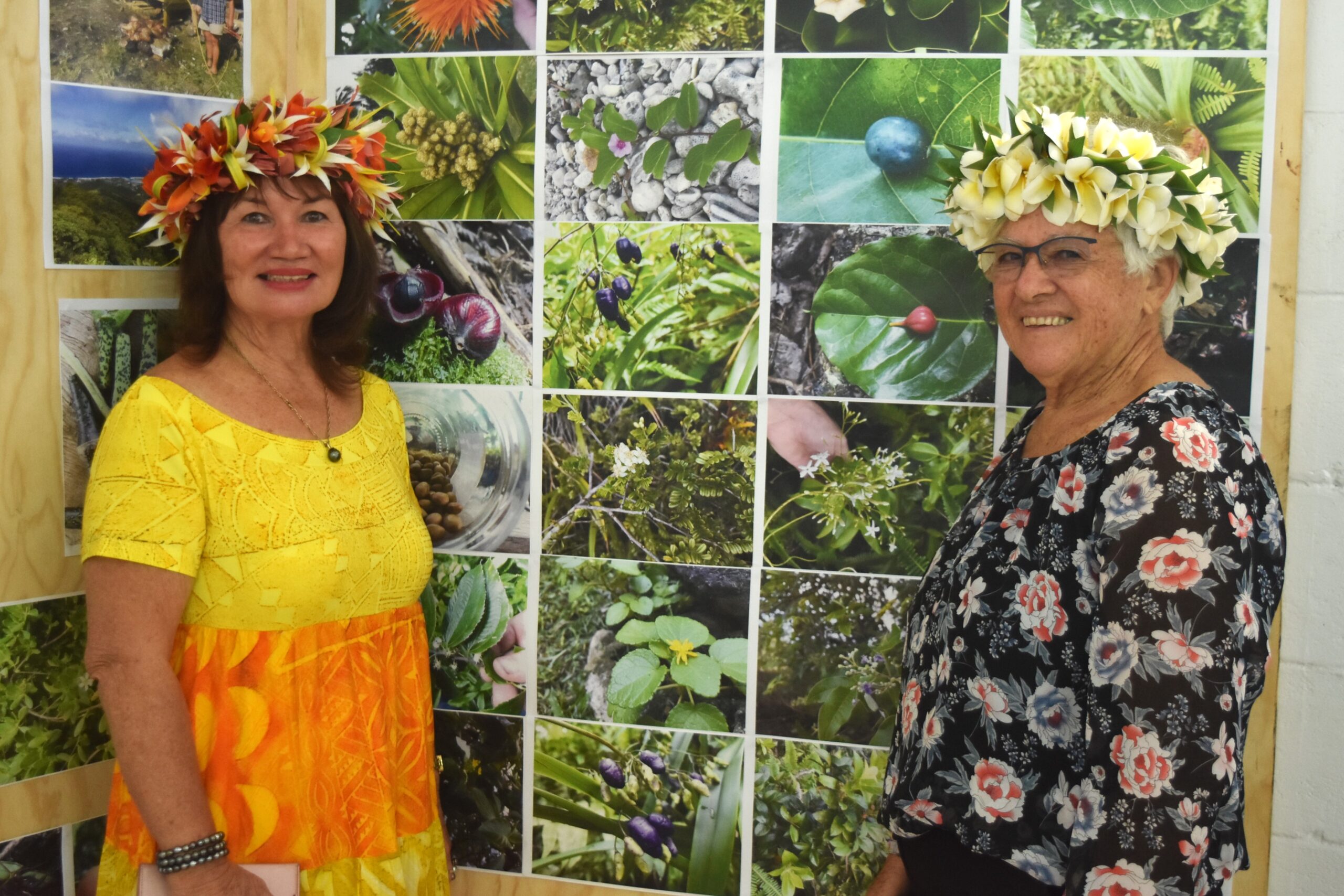 Muri Environment Care Expo highlights ecological restoration progress