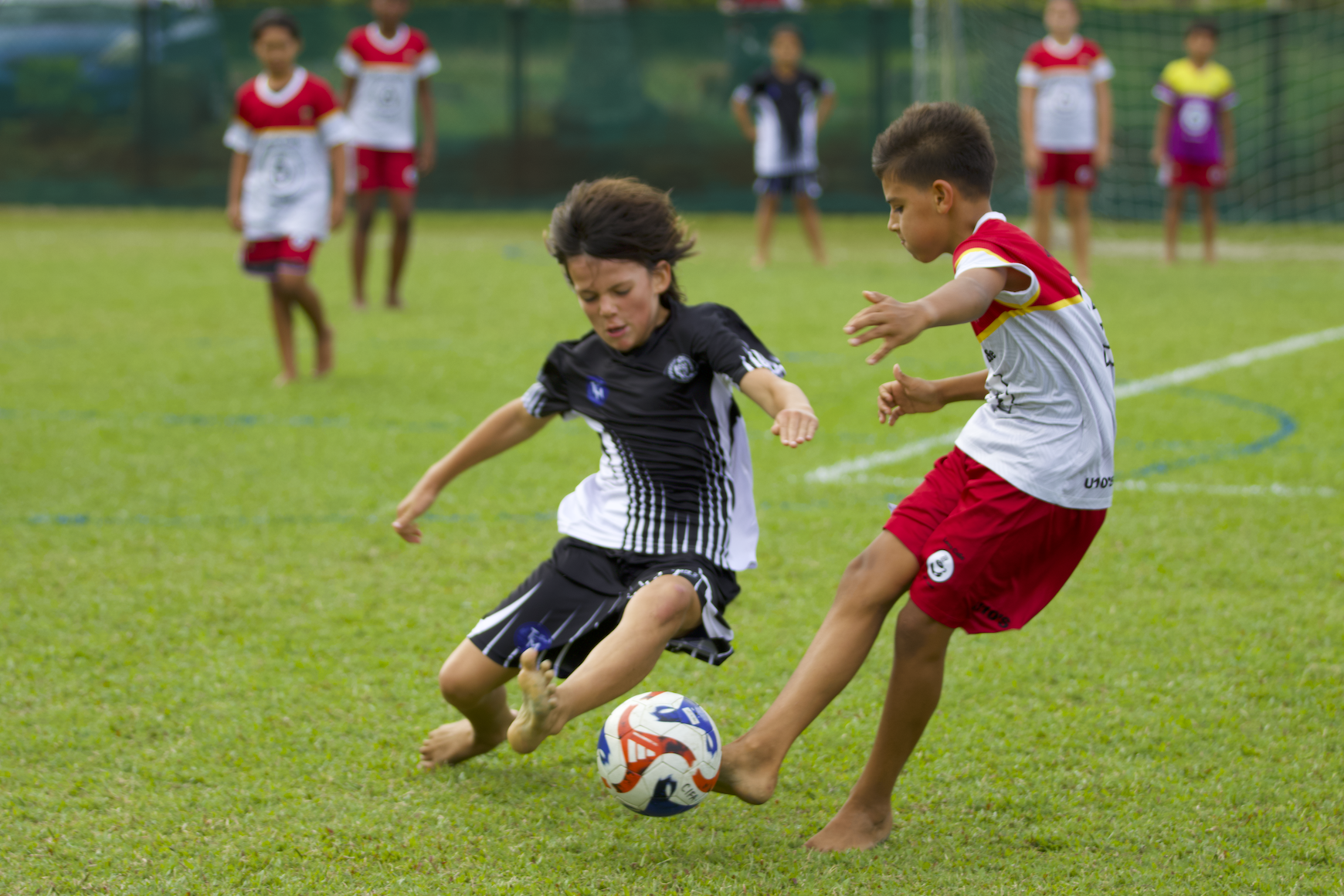 Round 12 of the football season kicks off today