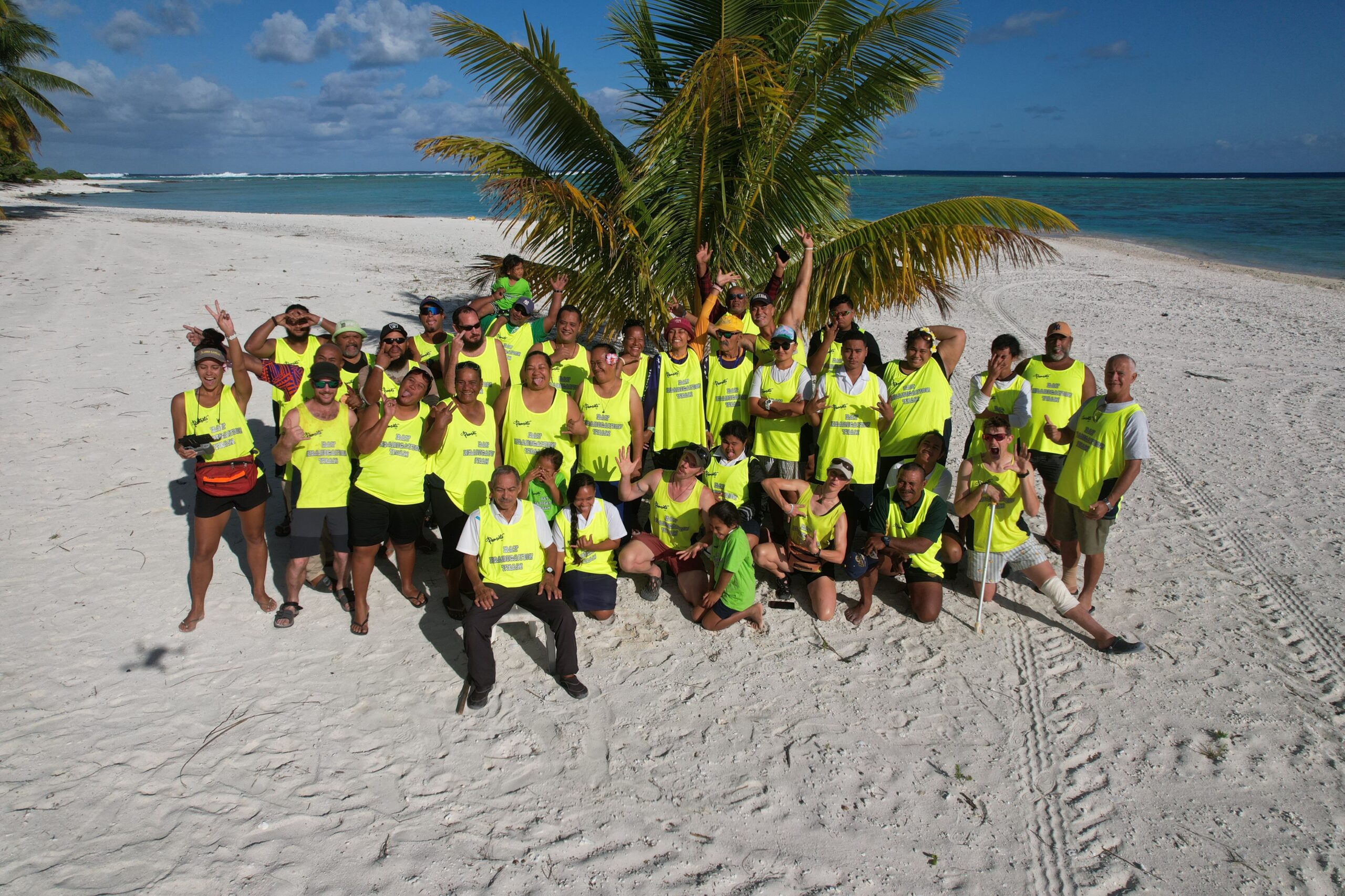 Rat eradication restores Palmerston atoll’s ecosystem