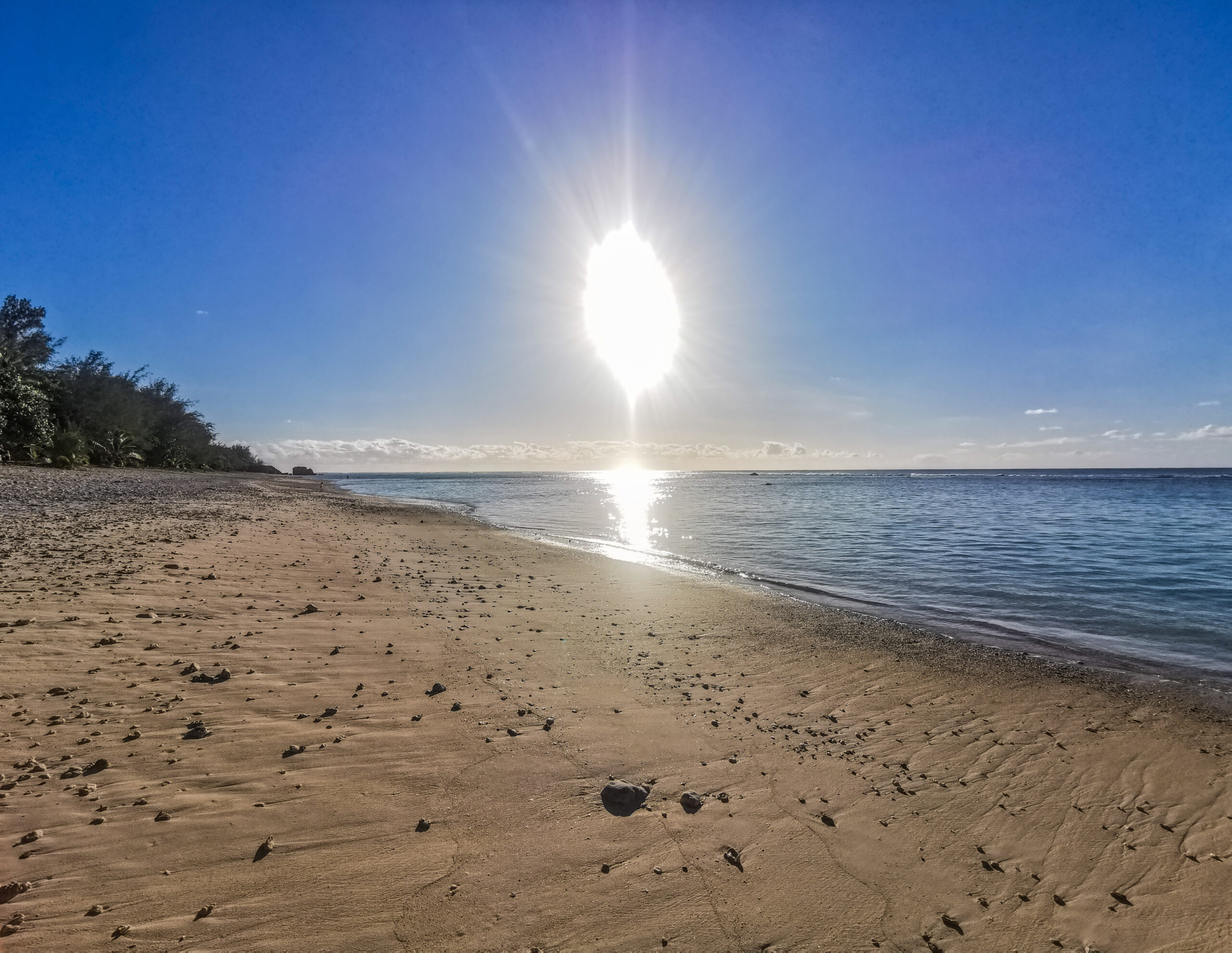 2024 sees hottest ocean temperature on record in Cook Islands waters